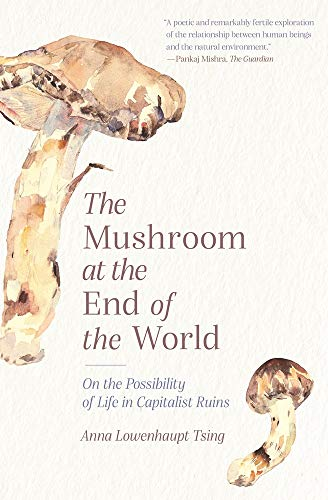 Cover of The Mushroom at the End of the World
