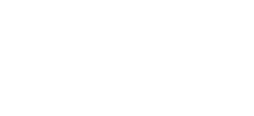 A burnt-out matchstick